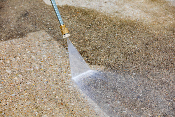 Best Pre-Holiday Cleaning  in Midway, GA